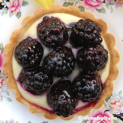 Blackberry Individual Tart (V)