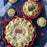 Graduation Apple Pie (V)