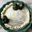 Baileys Matcha White Chocolate Pie (V)
