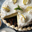 Crinkle Lemon Curd Pie