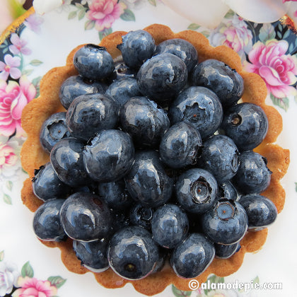 Blueberry Individual Tart (V)(GF)