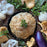 Vegan Cheesy Wild Mushroom Lentil Filo Pie