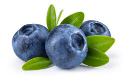 Blueberry