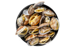 Clam