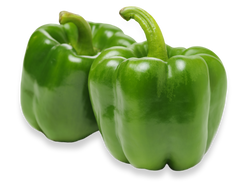 Green pepper