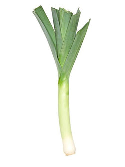 Leek