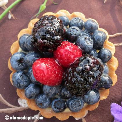 Saturday Tart Special-Bumbleberry