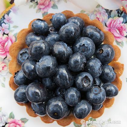 Wednesday Tart Special-Blueberry