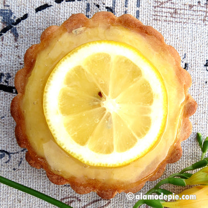 Lemon Curd Individual Tart (V) (GF)
